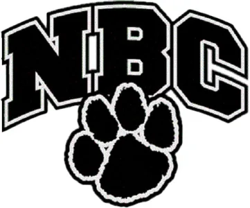 Northern Bedford awarded D-5 baseball title by PIAA